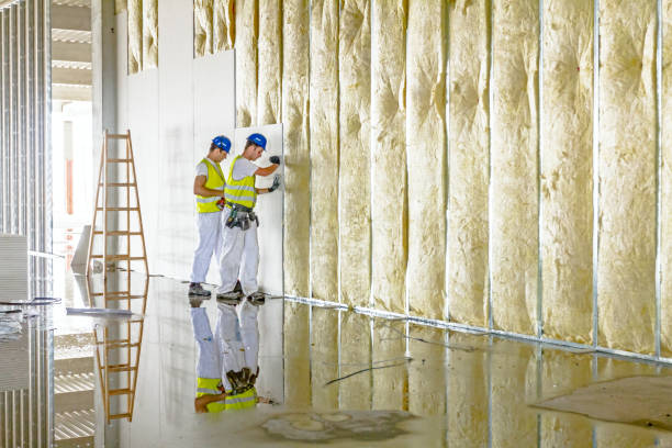 Best Types of Insulation in Lonsdale, MN